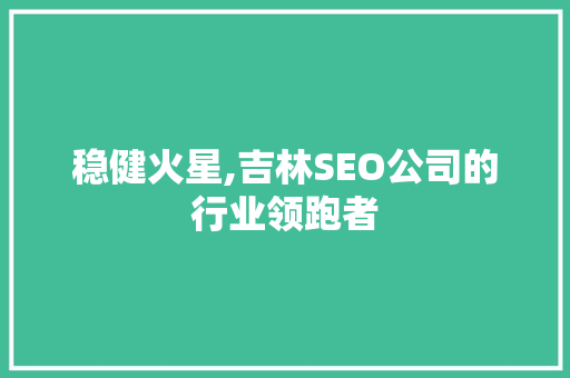 稳健火星,吉林SEO公司的行业领跑者