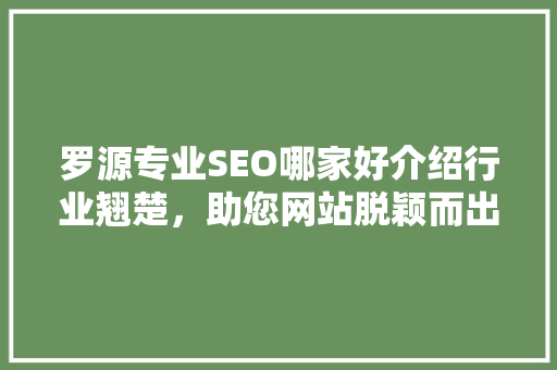 罗源专业SEO哪家好介绍行业翘楚，助您网站脱颖而出