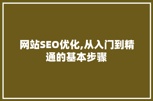 网站SEO优化,从入门到精通的基本步骤