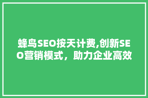 蜂鸟SEO按天计费,创新SEO营销模式，助力企业高效增长