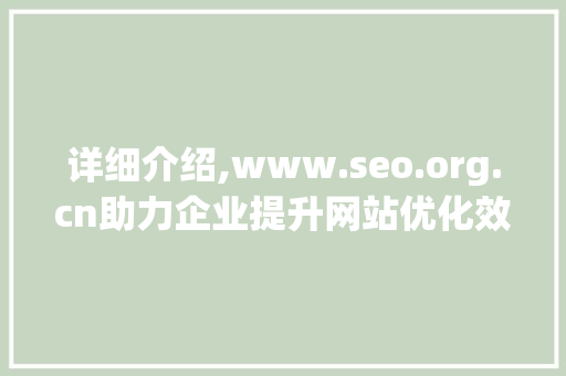 详细介绍,www.seo.org.cn助力企业提升网站优化效果