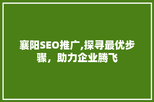 襄阳SEO推广,探寻最优步骤，助力企业腾飞