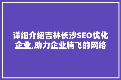 详细介绍吉林长沙SEO优化企业,助力企业腾飞的网络利器