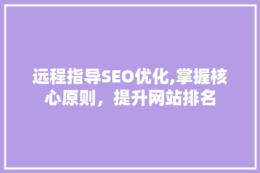 远程指导SEO优化,掌握核心原则，提升网站排名