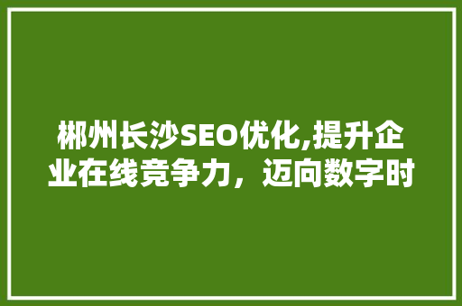 郴州长沙SEO优化,提升企业在线竞争力，迈向数字时代新高峰