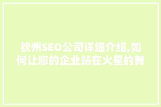 钦州SEO公司详细介绍,如何让您的企业站在火星的舞台上