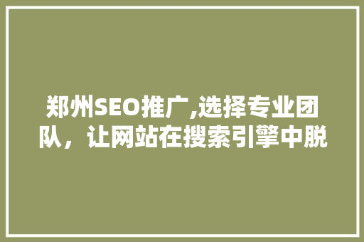 郑州SEO推广,选择专业团队，让网站在搜索引擎中脱颖而出