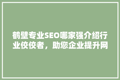 鹤壁专业SEO哪家强介绍行业佼佼者，助您企业提升网络曝光率