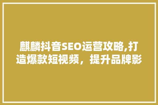 麒麟抖音SEO运营攻略,打造爆款短视频，提升品牌影响力