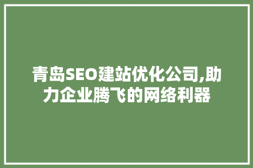 青岛SEO建站优化公司,助力企业腾飞的网络利器