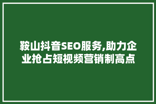 鞍山抖音SEO服务,助力企业抢占短视频营销制高点
