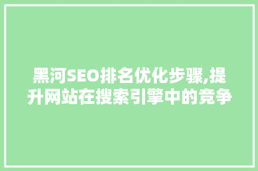 黑河SEO排名优化步骤,提升网站在搜索引擎中的竞争力
