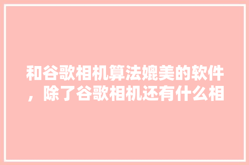 和谷歌相机算法媲美的软件，除了谷歌相机还有什么相机比较好