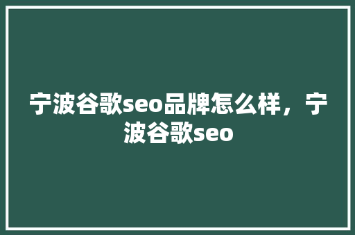 宁波谷歌seo品牌怎么样，宁波谷歌seo
