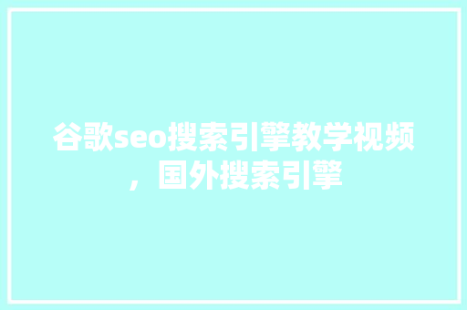 谷歌seo搜索引擎教学视频，国外搜索引擎