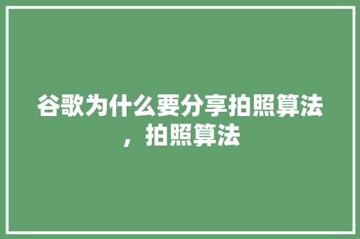 谷歌为什么要分享拍照算法，拍照算法