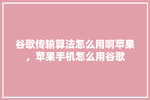 谷歌传输算法怎么用啊苹果，苹果手机怎么用谷歌