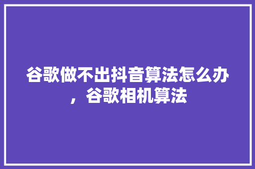 谷歌做不出抖音算法怎么办，谷歌相机算法