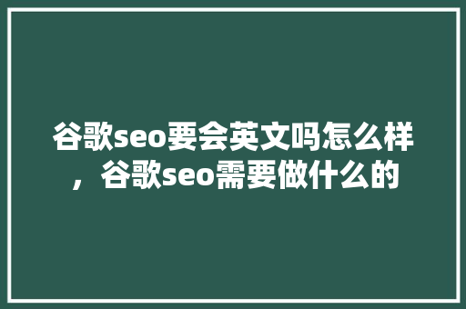 谷歌seo要会英文吗怎么样，谷歌seo需要做什么的