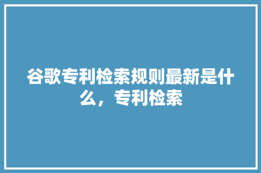 谷歌专利检索规则最新是什么，专利检索