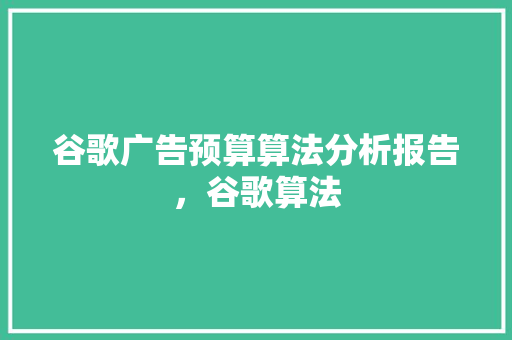 谷歌广告预算算法分析报告，谷歌算法