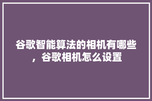 谷歌智能算法的相机有哪些，谷歌相机怎么设置