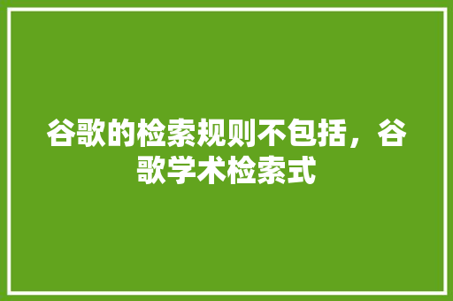 谷歌的检索规则不包括，谷歌学术检索式