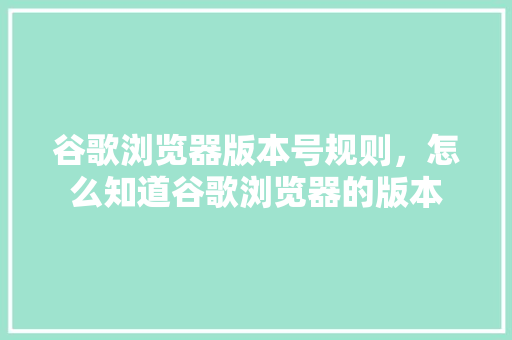 谷歌浏览器版本号规则，怎么知道谷歌浏览器的版本