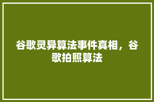 谷歌灵异算法事件真相，谷歌拍照算法