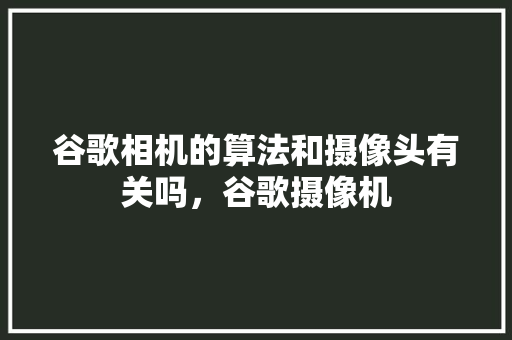 谷歌相机的算法和摄像头有关吗，谷歌摄像机