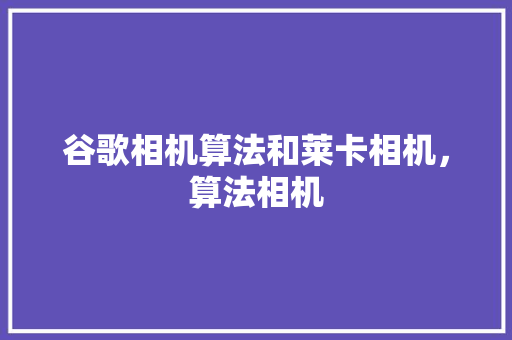 谷歌相机算法和莱卡相机，算法相机