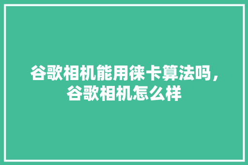 谷歌相机能用徕卡算法吗，谷歌相机怎么样