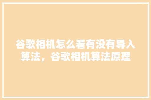谷歌相机怎么看有没有导入算法，谷歌相机算法原理