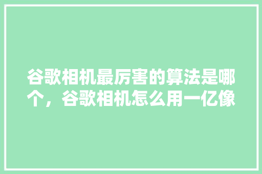 谷歌相机最厉害的算法是哪个，谷歌相机怎么用一亿像素