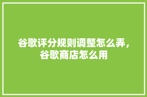 谷歌评分规则调整怎么弄，谷歌商店怎么用