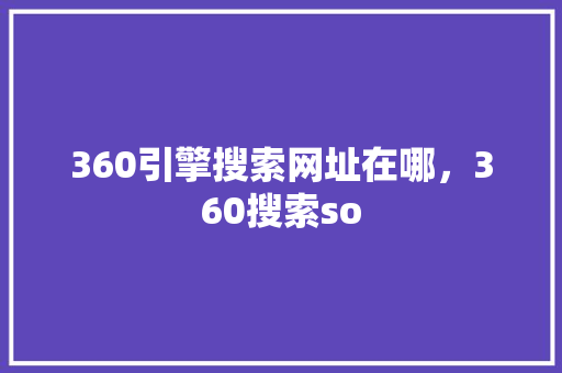 360引擎搜索网址在哪，360搜索so