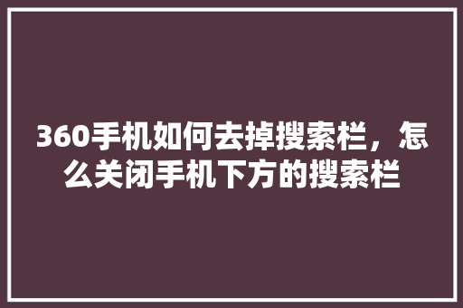 360手机如何去掉搜索栏，怎么关闭手机下方的搜索栏