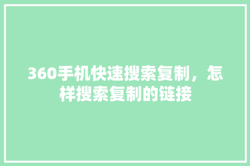 360手机快速搜索复制，怎样搜索复制的链接
