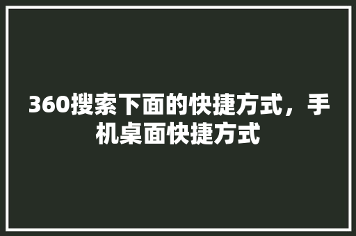 360搜索下面的快捷方式，手机桌面快捷方式