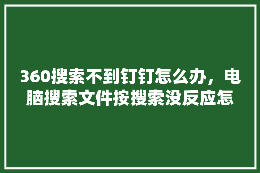 360搜索不到钉钉怎么办，电脑搜索文件按搜索没反应怎么办
