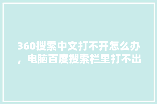 360搜索中文打不开怎么办，电脑百度搜索栏里打不出字儿