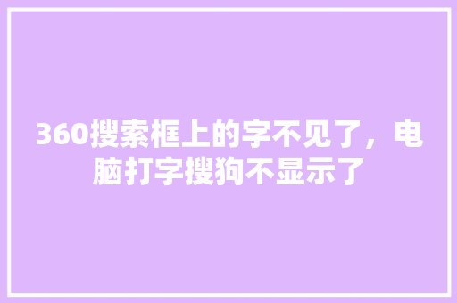 360搜索框上的字不见了，电脑打字搜狗不显示了