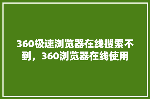360极速浏览器在线搜索不到，360浏览器在线使用