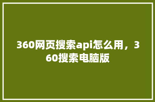 360网页搜索api怎么用，360搜索电脑版