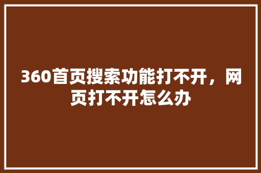 360首页搜索功能打不开，网页打不开怎么办