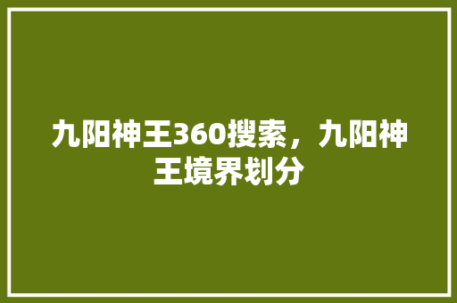九阳神王360搜索，九阳神王境界划分
