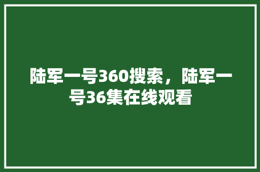 陆军一号360搜索，陆军一号36集在线观看