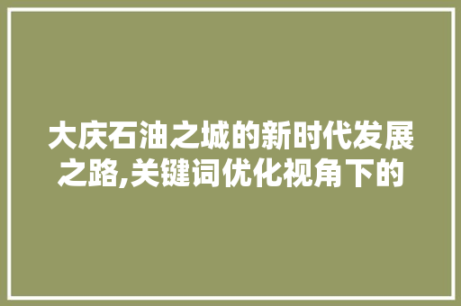 大庆石油之城的新时代发展之路,关键词优化视角下的城市变迁