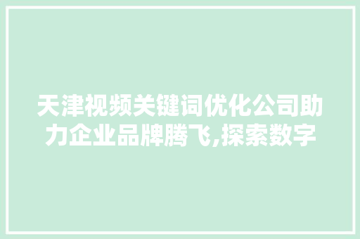 天津视频关键词优化公司助力企业品牌腾飞,探索数字营销新篇章