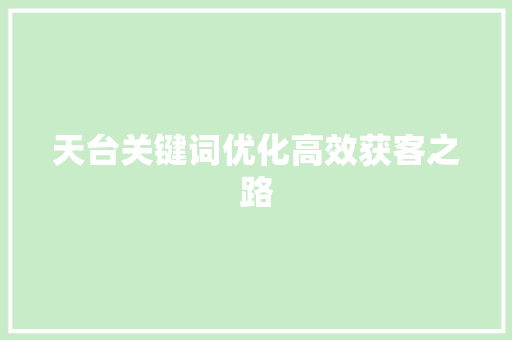 天台关键词优化高效获客之路
